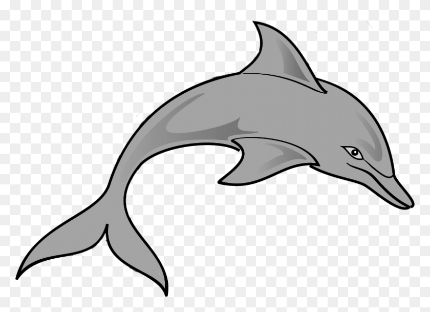 801x564 Clip Art Of A Dolphin - Free Dolphin Clipart