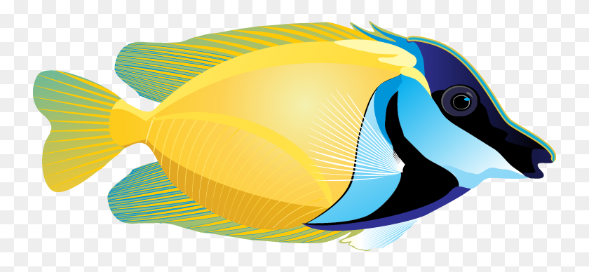 746x328 Clip Art Of A Tropical Fish - Eel Clipart