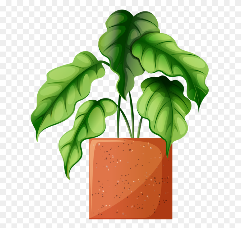 640x736 Картинки Красивых Растений Для Весеннего Сада - Кактус В Горшке Клипарт