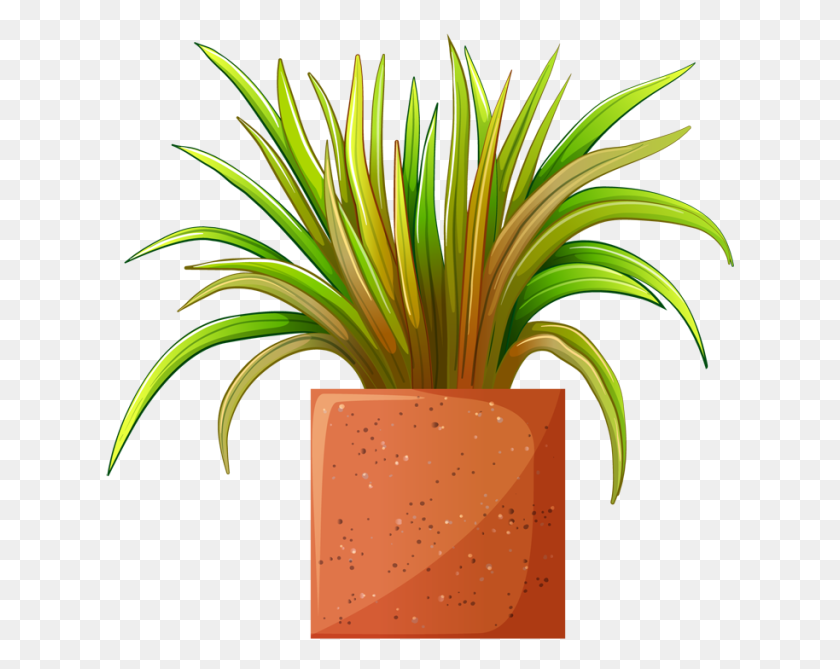 640x609 Картинки Красивых Растений Для Весеннего Сада - Горшечные Растения Клипарт