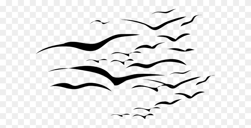 600x370 Картинки Птицы - Слизь Клипарт Черный И Белый