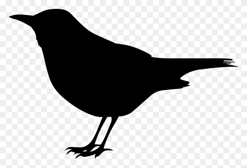 2338x1530 Clip Art Of Black Birds Blackbirds Clipart Clipground - Clipart Black And White Bird