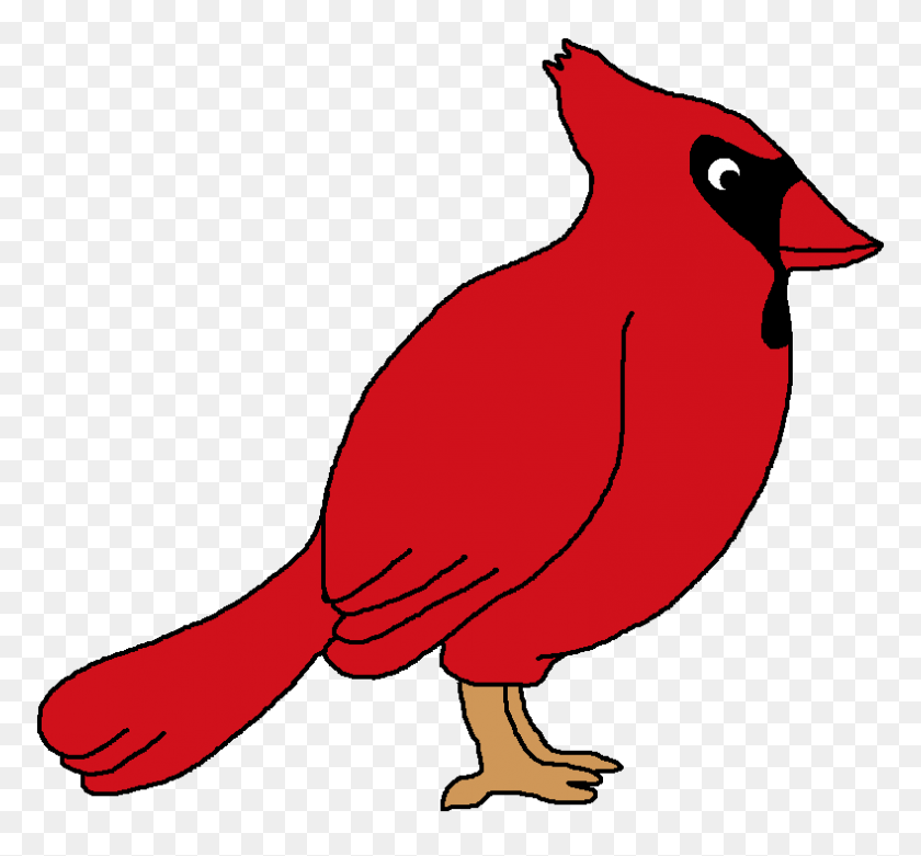 789x730 Clip Art Of Cardinal Bird Winging - Nocturnal Animals Clipart