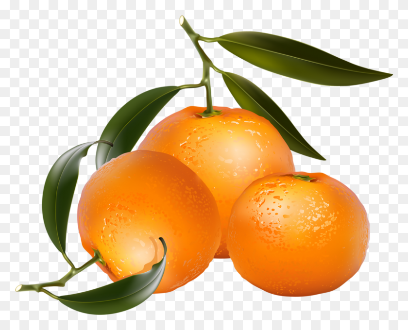 797x634 Clip Art Of Citrus Fruit - Tangerine Clipart