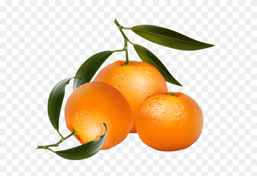 639x514 Clip Art Of Citrus Fruit Oranges Jean Savoy Fruit - Orange Fruit Clipart
