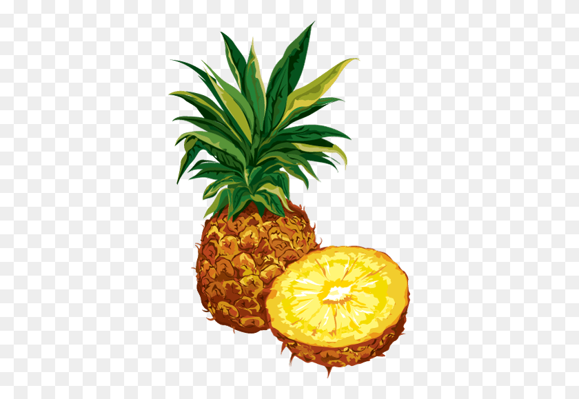 351x519 Clip Art Of Citrus Fruit Pineapple Education - Porch Clipart