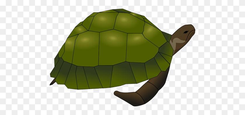 500x337 Clip Art Of Large Old Turtle In Green And Brown - Turtle PNG Clipart