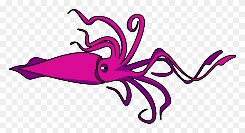 800x407 Clip Art Of Octopus And Squid Clipart Clipart Image - Octopus Clipart PNG
