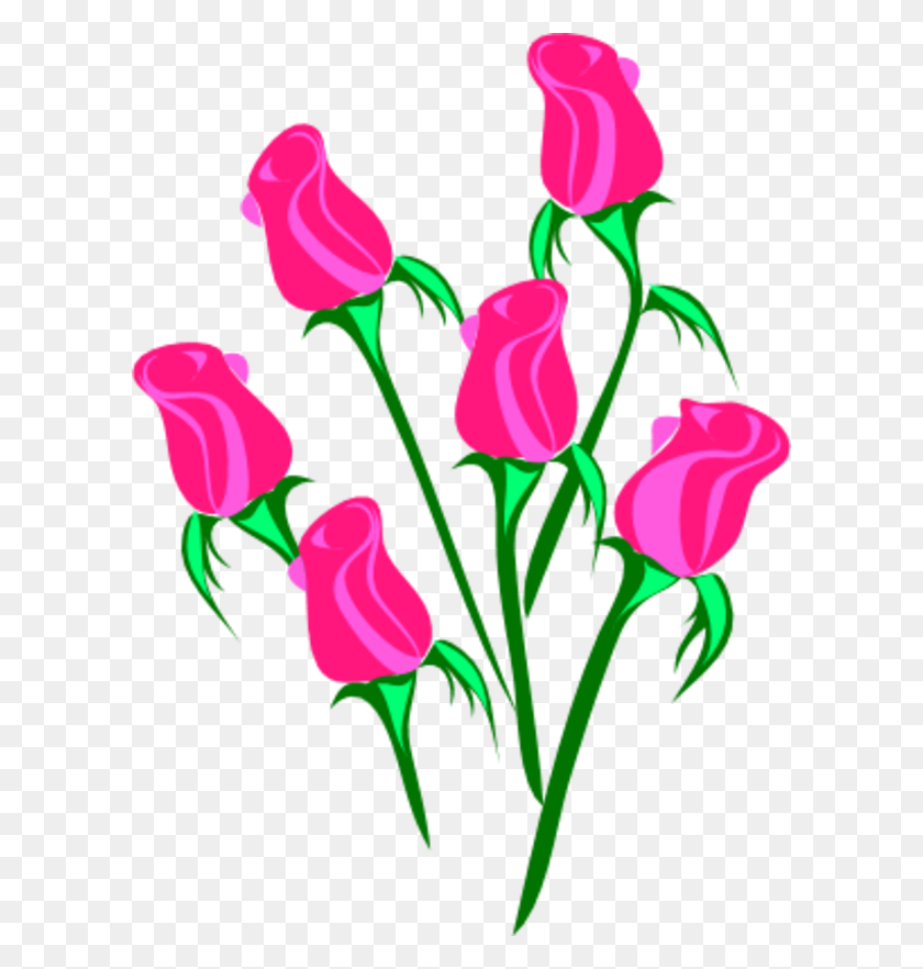 600x822 Clip Art Of Roses - Thorn Clipart