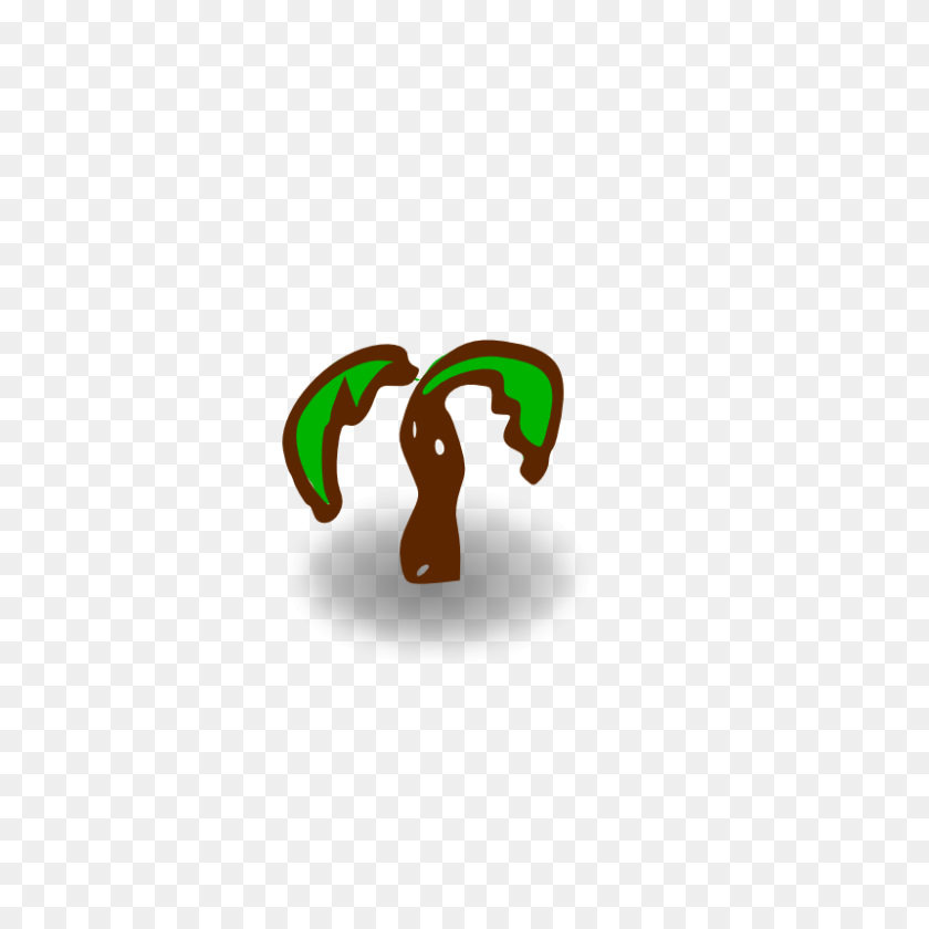 800x800 Clip Art Palm Tree - Rainforest Tree Clipart