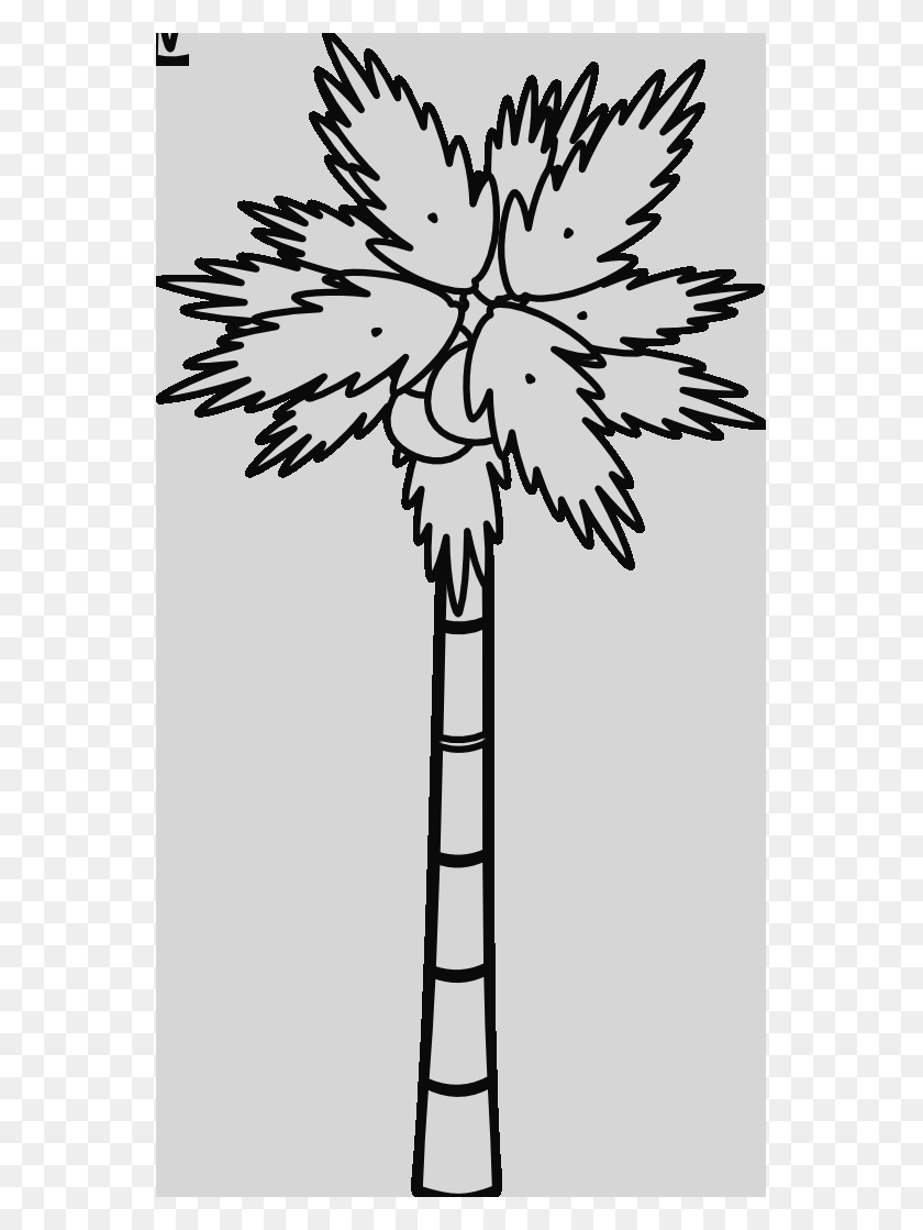 555x1059 Clip Art Palm Tree Clipart Black And White - Tall Tree Clipart