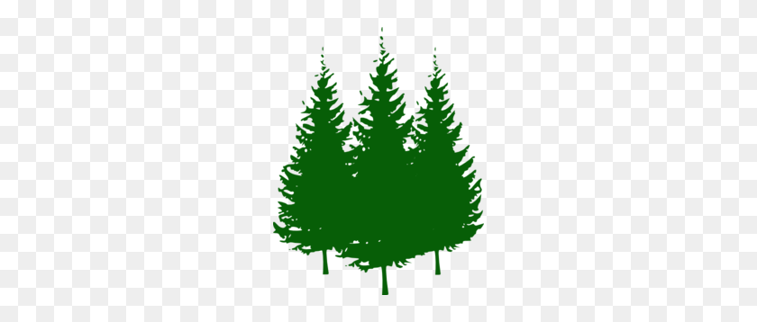 234x298 Clip Art Pine Tree - Pine Clipart