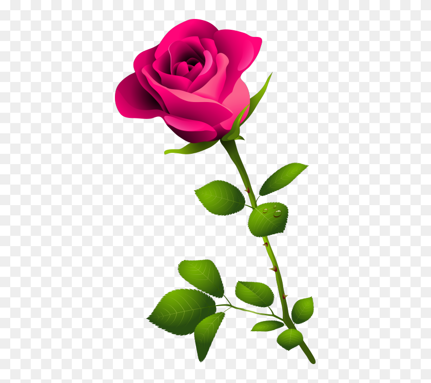399x687 Картинки Розовая Роза Розовая Роза С Цветочными Розовыми - Бутон Розы Клипарт