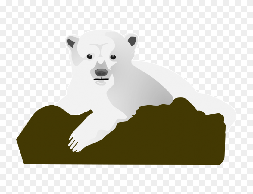 800x600 Картинки Белые Медведи - Мама Медведь Клипарт