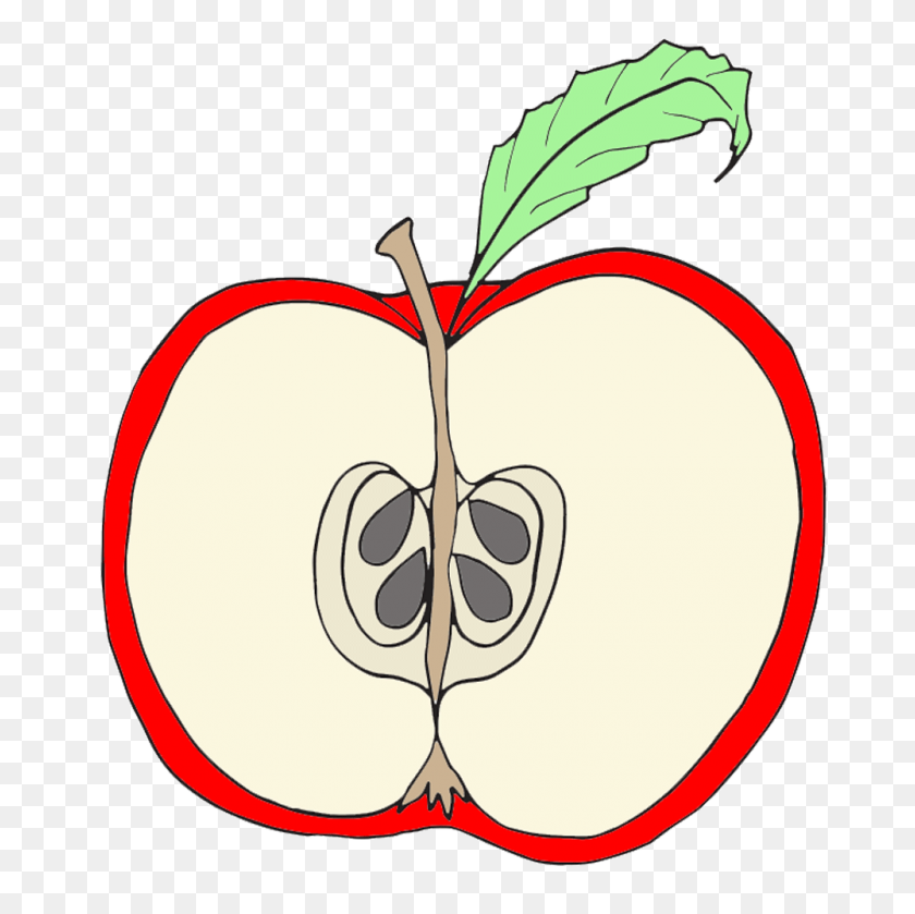 1000x1000 Clipart Red Apple Clipart - Cute Fruit Clipart