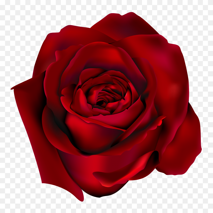3087x3078 Clip Art Red Rose - Dahlia Flower Clipart