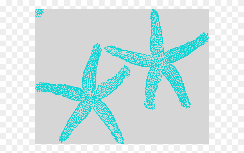 600x468 Клипарт Морской Клипарт - Морская Звезда Клипарт