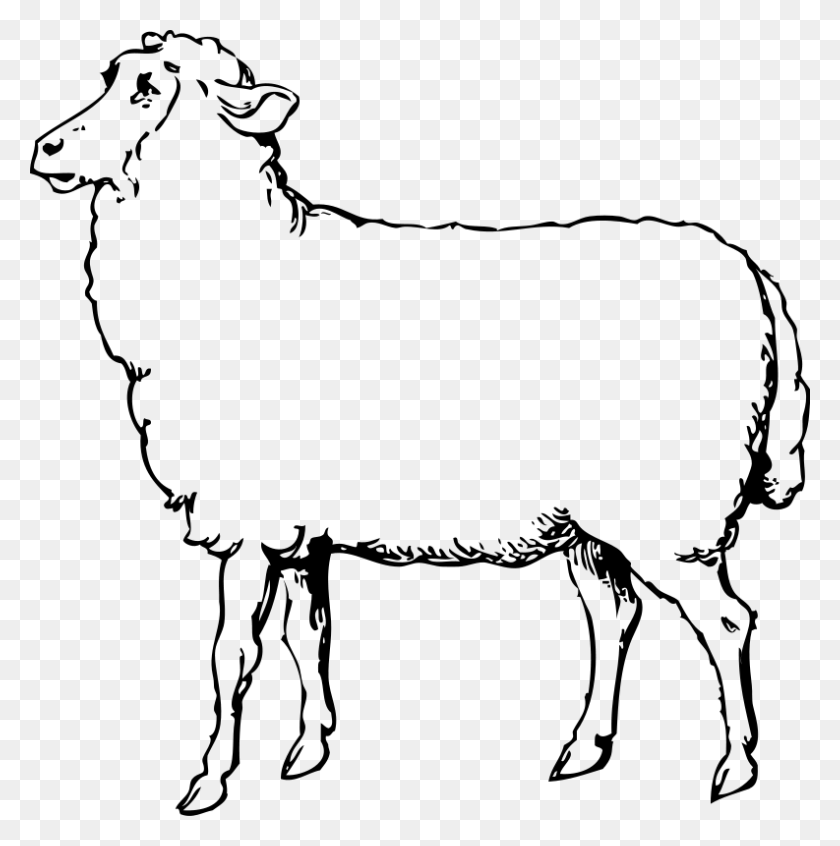 793x800 Clip Art Sheep - Free Sheep Clipart