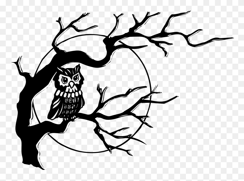 2400x1741 Клип Арт Ветви Деревьев Черный И Белый - Ночной Клипарт Черный И Белый