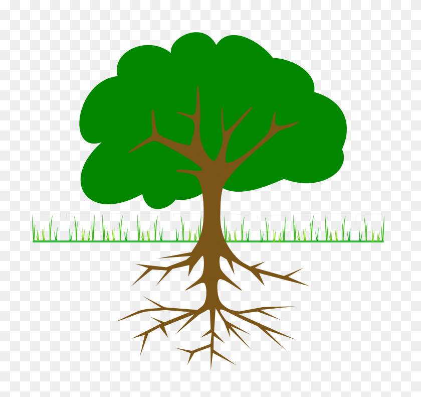 1979x1855 Clip Art Tree With Roots - Tree Top Clipart