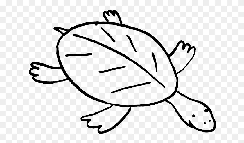 650x431 Clipart Turtle - Cute Turtle Clipart