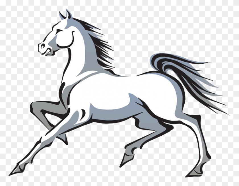 800x610 Картинки Белые Лошади - Четверть Клипарт