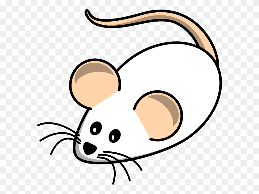 600x569 Clip Art White Mouse - Mouse Clipart Transparent