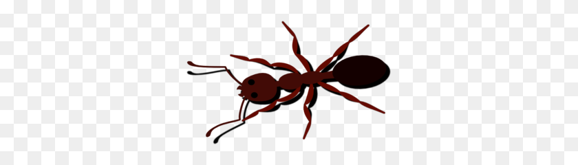 297x180 Clip Drawn Langgam Ant Drawing Pictures - Marching Ants Clipart