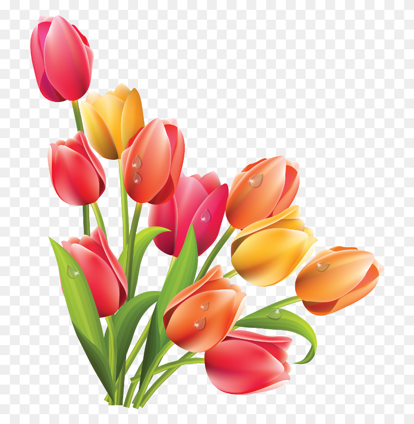 719x800 Clip Flowers Flowers, Tulips, Easter - Spring Flower PNG
