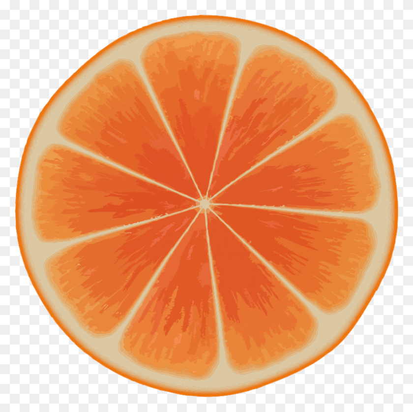 793x790 Clipart - Orange Slice PNG