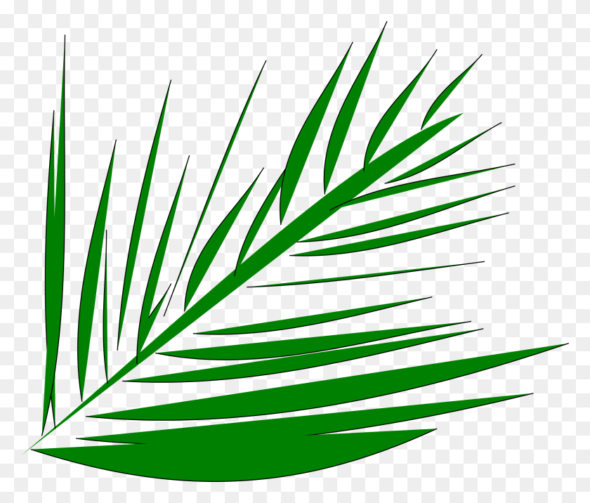 2400x2019 Clipart - Palm Leaf PNG