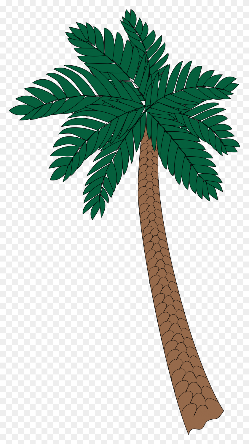 1305x2400 Clipart - Palm Tree Leaves Clip Art