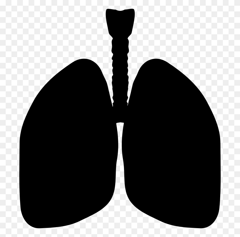 706x770 Clipart - Lungs Clipart
