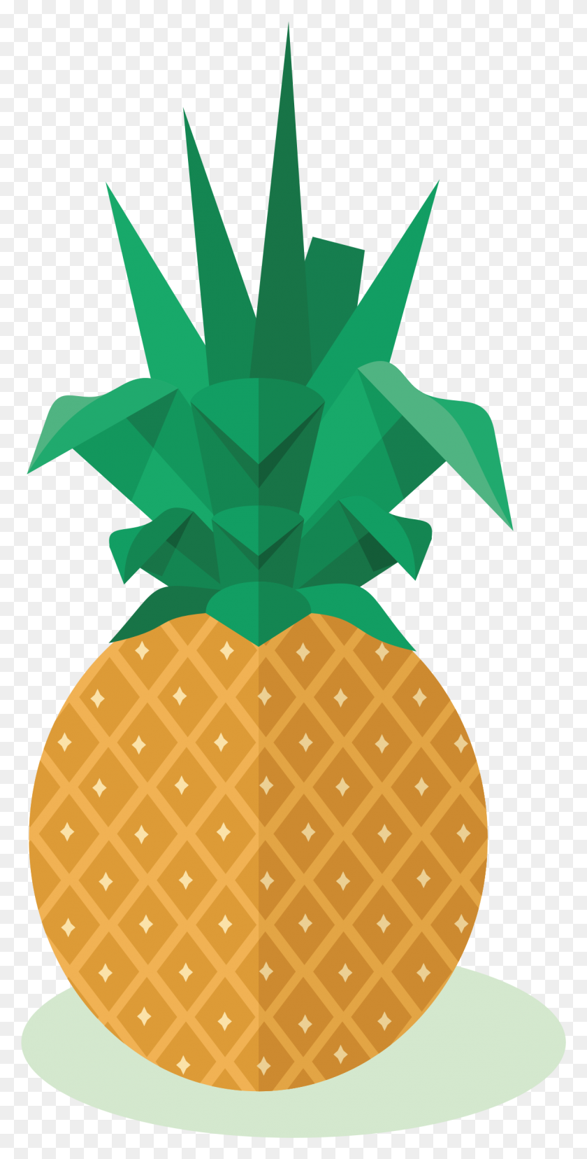 1165x2385 Clipart - Pineapple PNG
