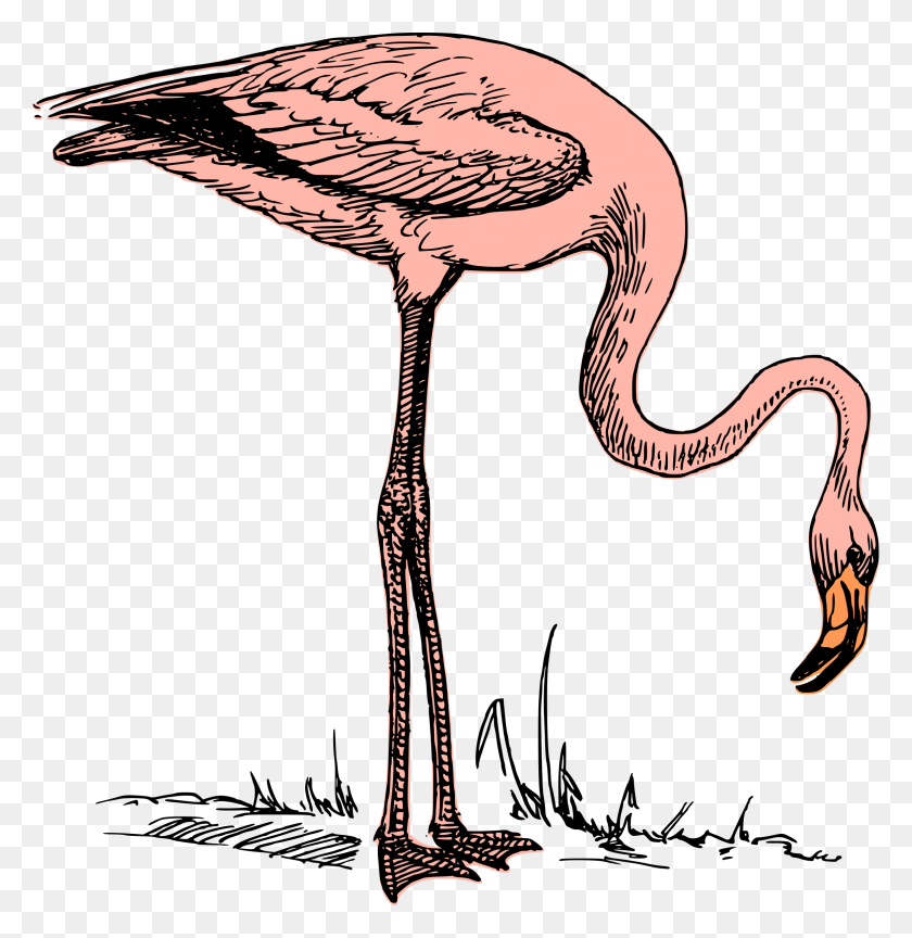2328x2400 Clipart - Pink Flamingo Clip Art