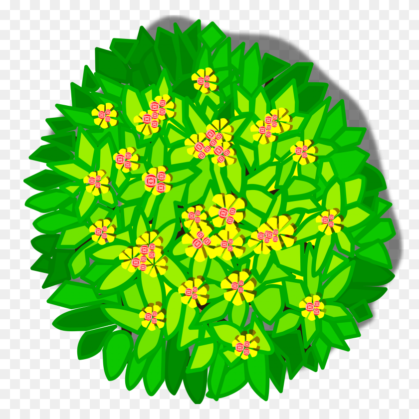 2400x2400 Clipart - Plant Top View PNG