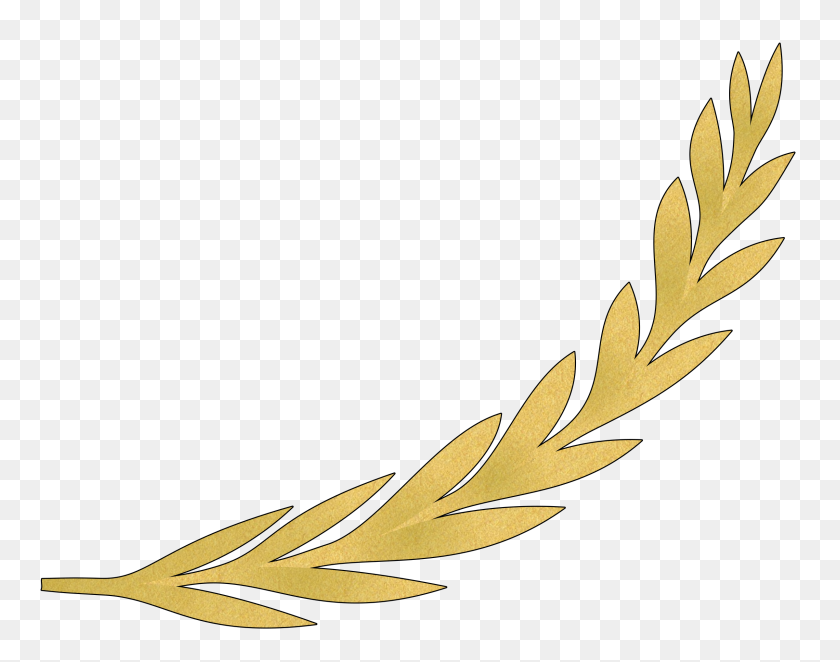 2400x1855 Clipart - PNG Gold