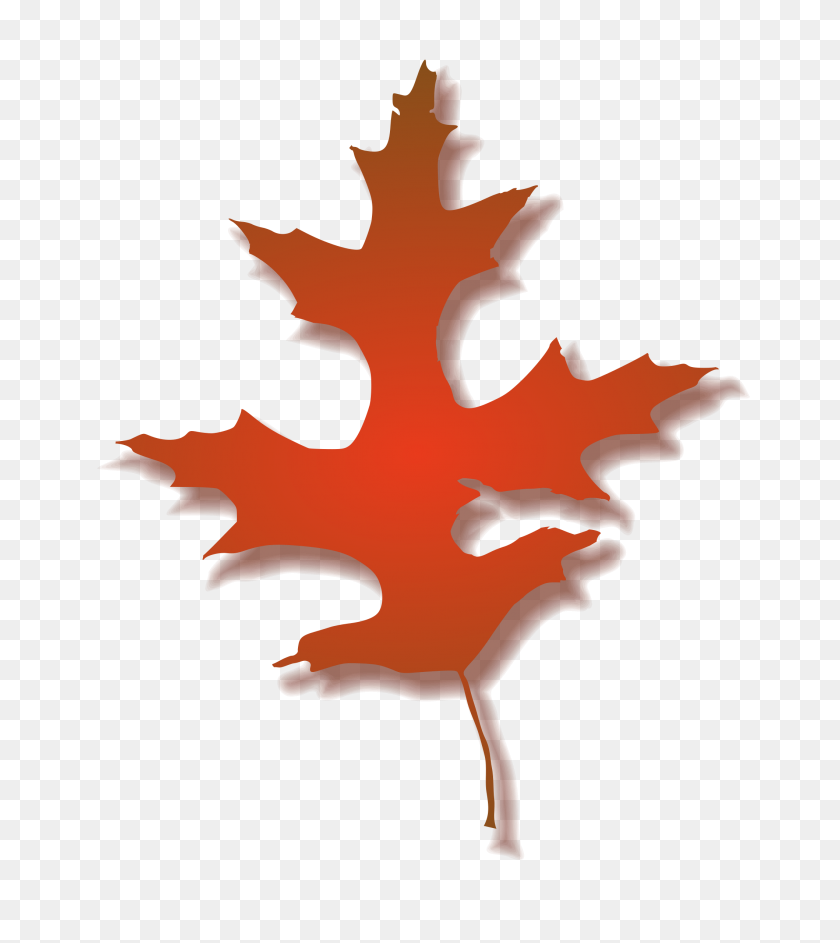 2119x2400 Clipart - Oak Leaf Clip Art