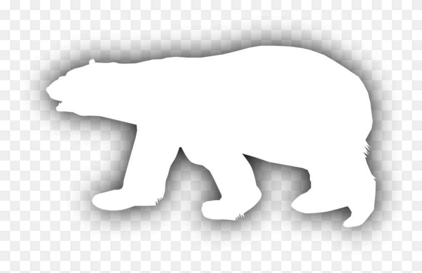 800x497 Клипарт - Белый Медведь Png