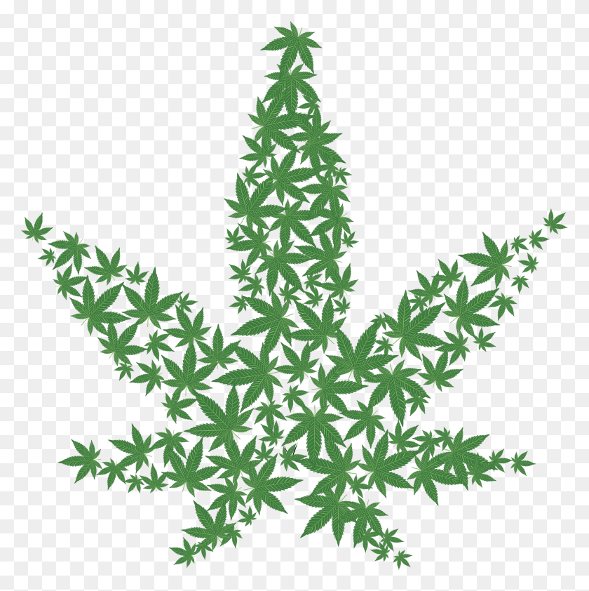 2286x2292 Clipart - Marijuana Plant Clipart