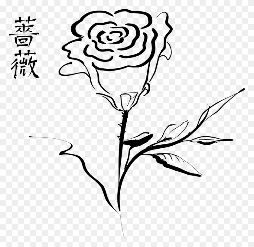 800x776 Clipart - Rose Clipart Black And White PNG