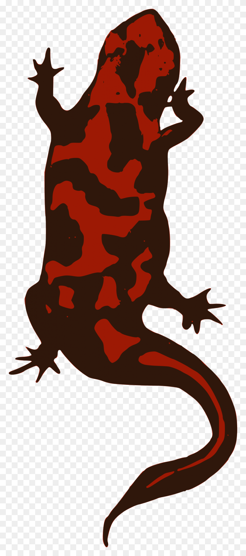 Красная саламандра