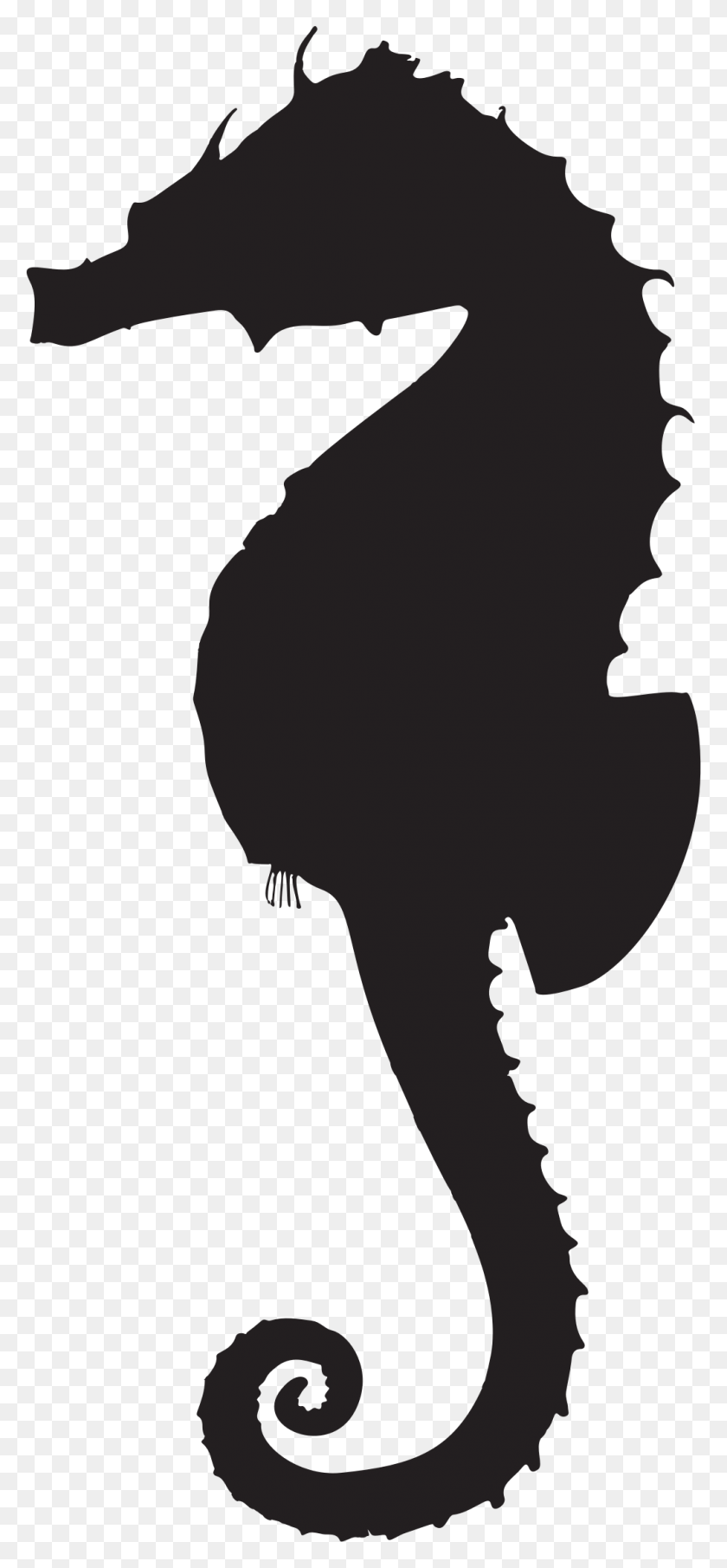 1013x2274 Clipart - Seahorse PNG