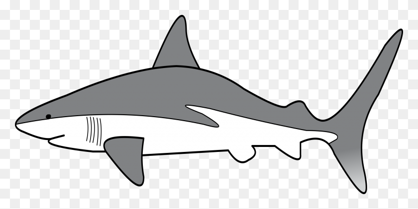 2400x1113 Clipart - Shark Black And White Clipart