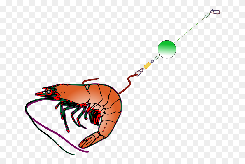 672x501 Clipart - Shrimp Clipart