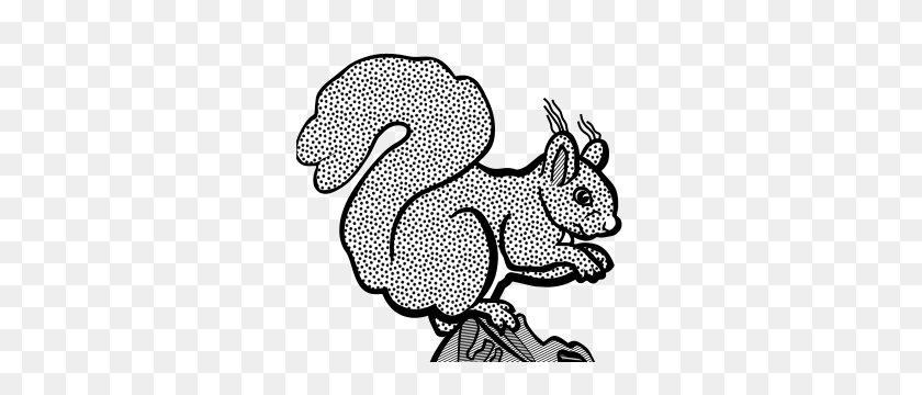 300x300 Clipart - Squirrel Black And White Clipart