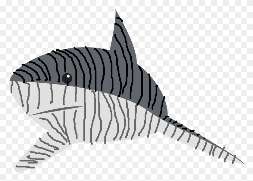 2350x1635 Clipart - Imágenes Prediseñadas De Tiburón Tigre