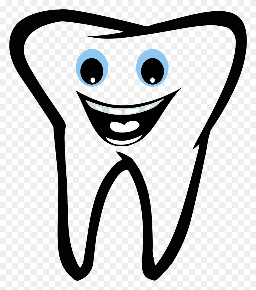 Human Tooth Tooth Brushing Dentistry Deciduous Teeth Free Tooth