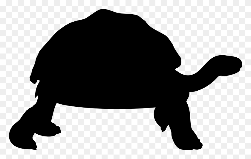 2338x1426 Clipart - Tortoise Clipart Black And White