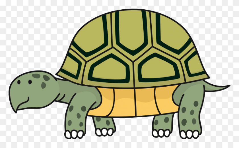 800x473 Clipart - Tortoise PNG
